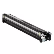 Ricoh D1773020 - toner, black (černý)