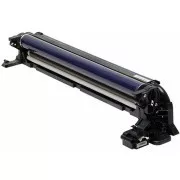 Ricoh D1862238 - optická jednotka, black (černá)