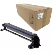 Ricoh D1862239 - optická jednotka, color (barevná)