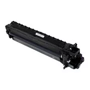 Ricoh D2970121 - optická jednotka, black (černá)
