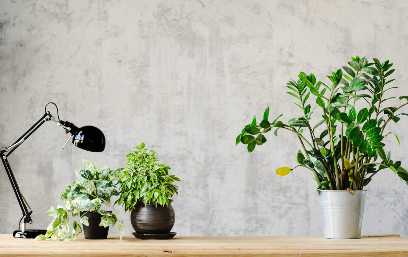 istock-1015989768.jpg