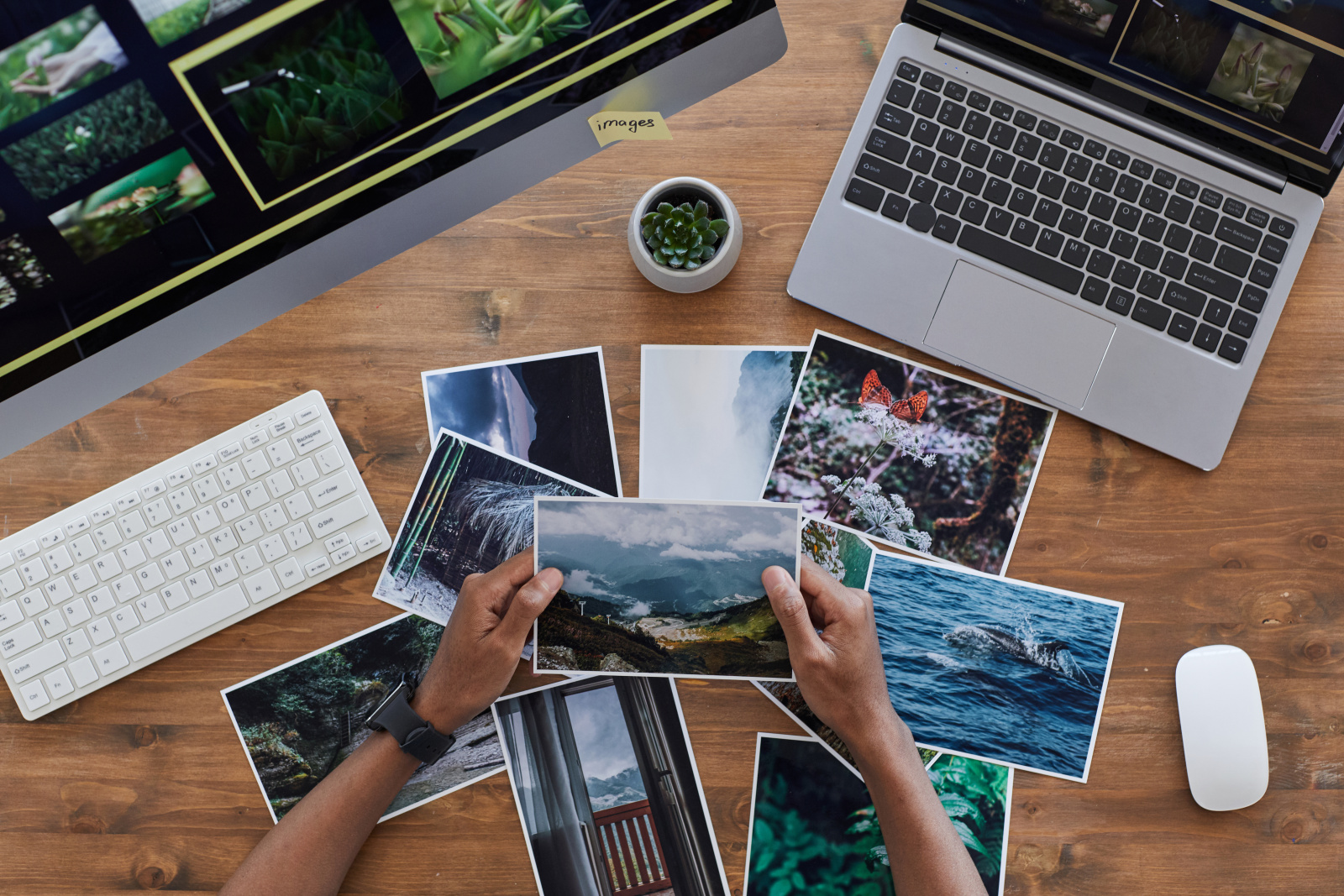istock-1255905331.jpg
