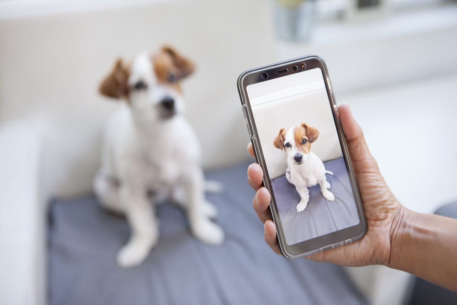 istock-1044460430.jpg